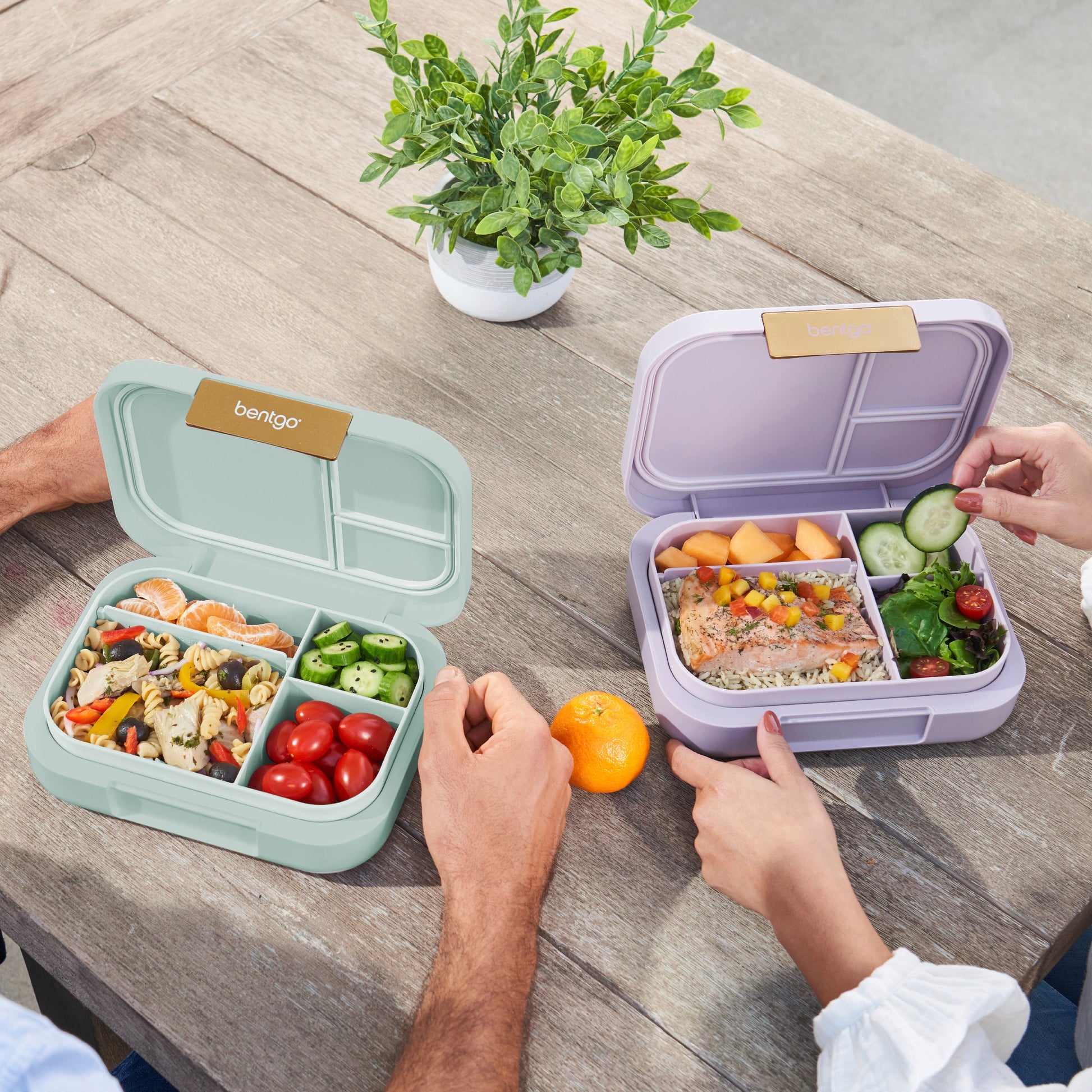 bentgo-modern-lunch-box-2-pack-g5 COSTCOBMCPRODUCTIMAGE_2.jpg